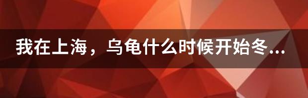 乌龟冬眠吗?什么时候开始？ 乌龟从什么时候开始冬眠