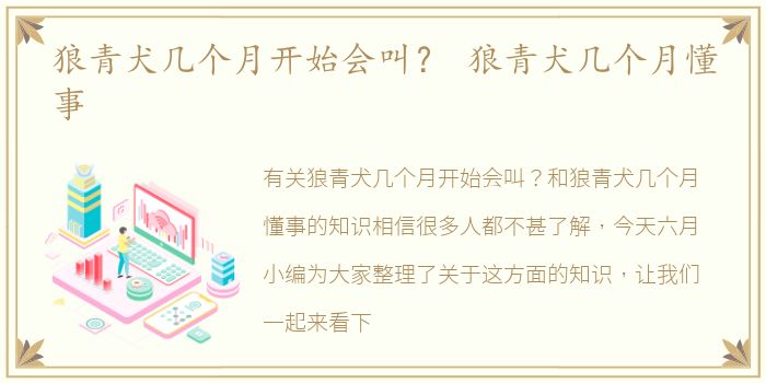 狼青犬几个月开始会叫？ 狼青犬几个月懂事