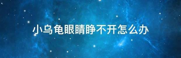 乌龟眼睛睁不开了？ 乌龟眼睛睁不开