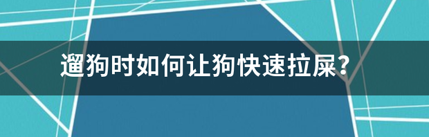 遛狗时如何让狗快速拉屎？ 遛狗如何让狗快速拉屎
