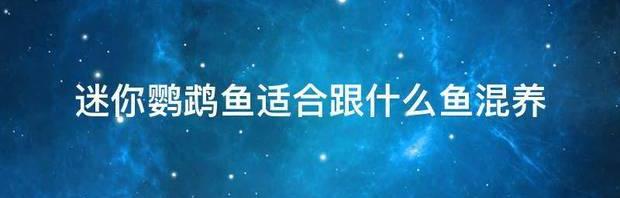 迷你鹦鹉鱼可以和什么鱼混养？ 迷你鹦鹉鱼可以和什么鱼混养