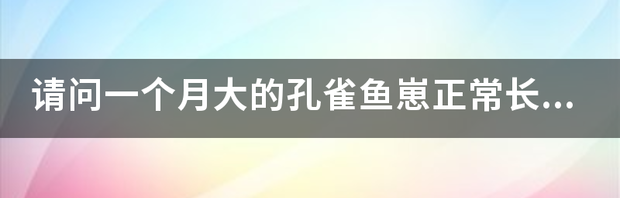 t01d22b747093d59810.png