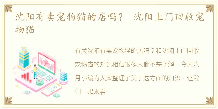 沈阳有卖宠物猫的店吗？ 沈阳上门回收宠物猫