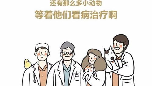 兽医小说？ 兽医小说