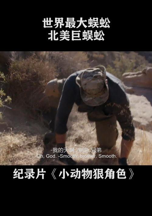 蜈蚣最大有多大？ 最大的蜈蚣有多大