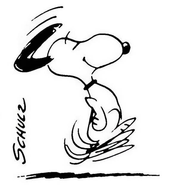 史努比全部人物介绍 snoopy人物介绍