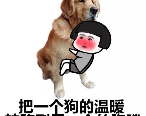我家狗狗叫的声音怎么像小孩在哭？ 狗哭的声音