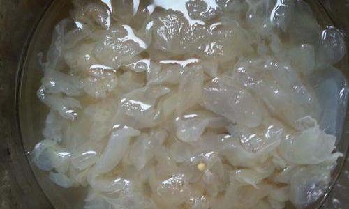 怎样做海蜇头好吃又简单？ 海蜇头