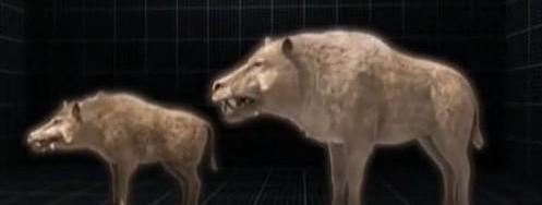像猪一样的恐龙叫什么？ 恐猪