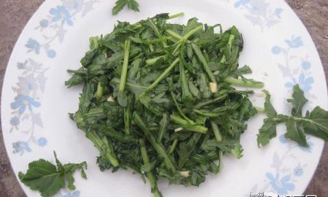 大拌凉菜的做法？ 凉拌菜做法大全窍门