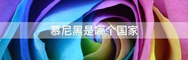 t01d0991047e8505bfe.jpg