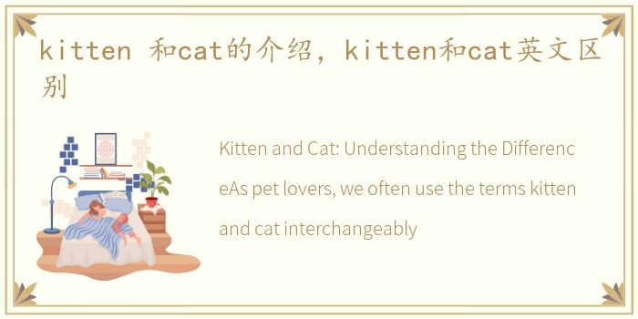 kitten 和cat的介绍，kitten和cat英文区别