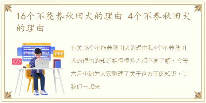 16个不能养秋田犬的理由 4个不养秋田犬的理由
