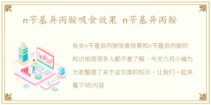 n苄基异丙胺吸食效果 n苄基异丙胺