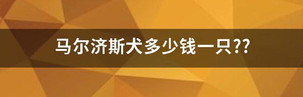 t01335de28479ad8b11.png