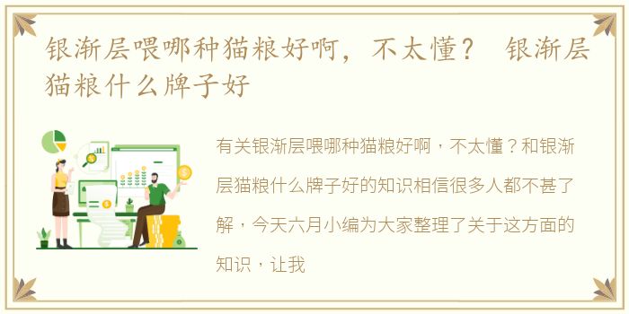 银渐层喂哪种猫粮好啊，不太懂？ 银渐层猫粮什么牌子好