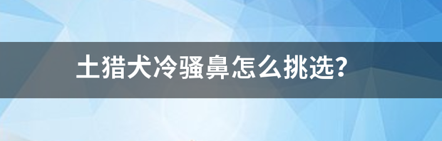 t014385d29ec20c4d09.png