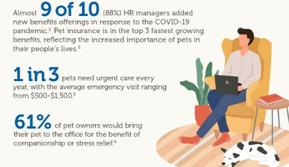 PetPartners推出OnePack计划一种基于雇主的团体宠物保险产品