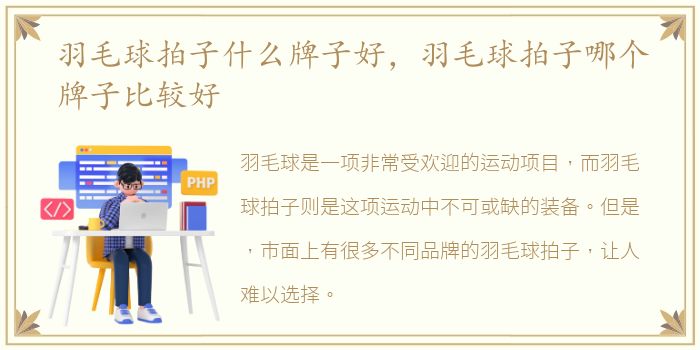 羽毛球拍子什么牌子好，羽毛球拍子哪个牌子比较好