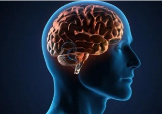 UMD研究发现老年人步行后大脑连通性记忆力得到改善