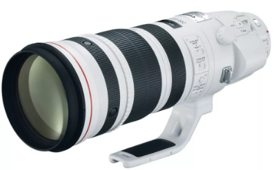佳能RF 200-500mm f/4L IS USM确认将于今年晚些时候上市