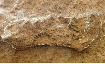 在南非发现的153000年前智人足迹
