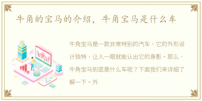 牛角的宝马的介绍，牛角宝马是什么车