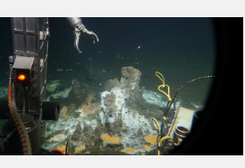 海底深处的微生物如何使原油无害化