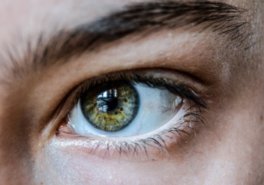 新研究确定了影响欧洲人眉毛厚度的DNA变异