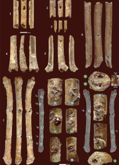 以色列出土有12000年历史的长笛