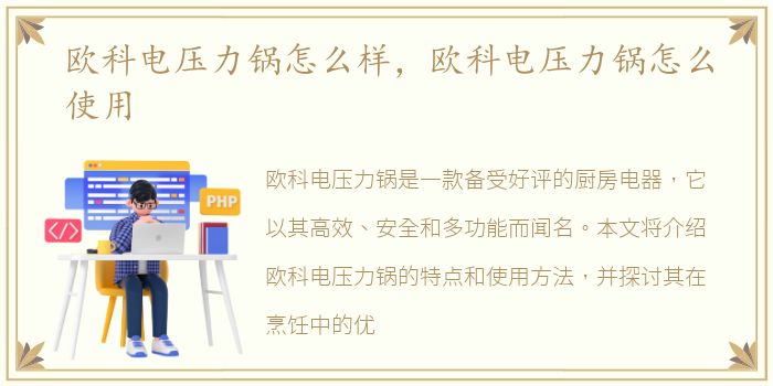 欧科电压力锅怎么样，欧科电压力锅怎么使用