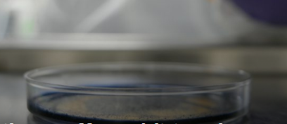 伯克希尔无菌公司将提供额外的生物加工服务