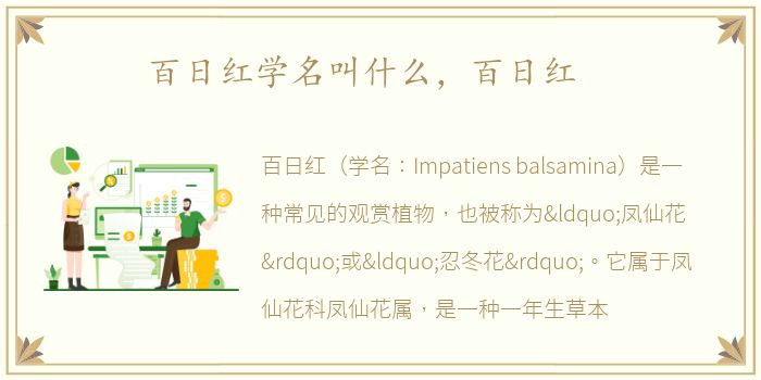 百日红学名叫什么，百日红