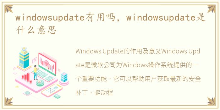 windowsupdate有用吗，windowsupdate是什么意思