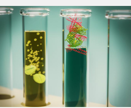 固态存储的突破创新了生物材料的存储和处理方式