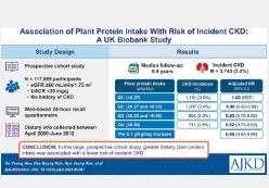 植物性蛋白质摄入可降低肾病风险