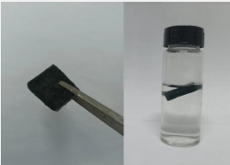 漂浮的海绵可以帮助清除有害的藻华