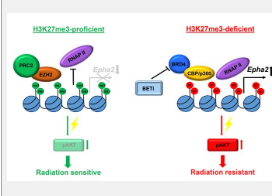 表观遗传学引导的癌症治疗针对儿童脑肿瘤中的 H3K27me3 缺失