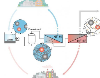 研究为从水中提取有价值的材料提供了指导