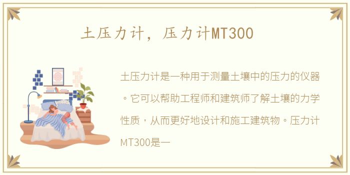 土压力计，压力计MT300