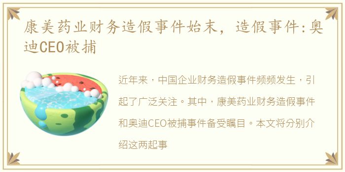 康美药业财务造假事件始末，造假事件:奥迪CEO被捕