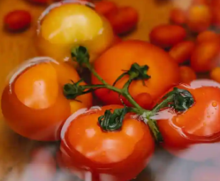 什么是食物中毒远离这种疾病的6个秘诀