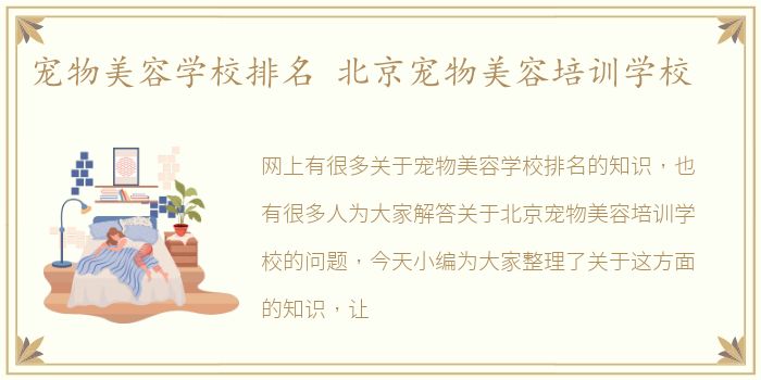 宠物美容学校排名 北京宠物美容培训学校