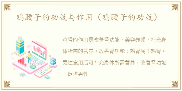 鸡腰子的功效与作用（鸡腰子的功效）