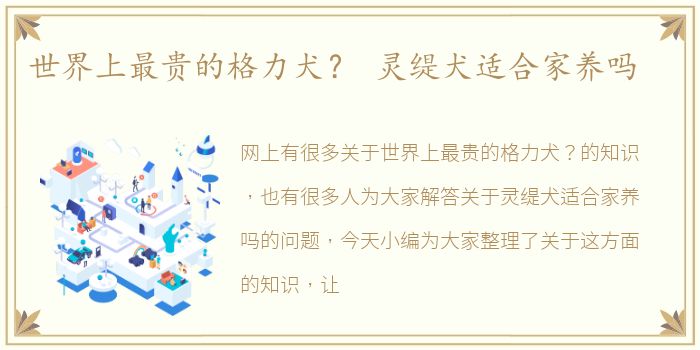 世界上最贵的格力犬？ 灵缇犬适合家养吗
