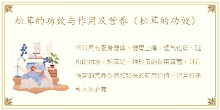 松茸的功效与作用及营养（松茸的功效）