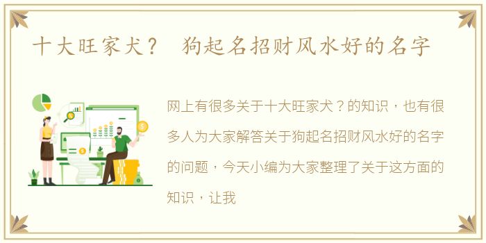 十大旺家犬？ 狗起名招财风水好的名字
