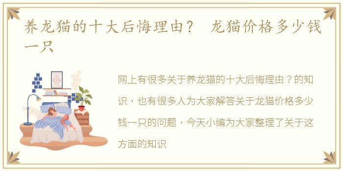 养龙猫的十大后悔理由？ 龙猫价格多少钱一只