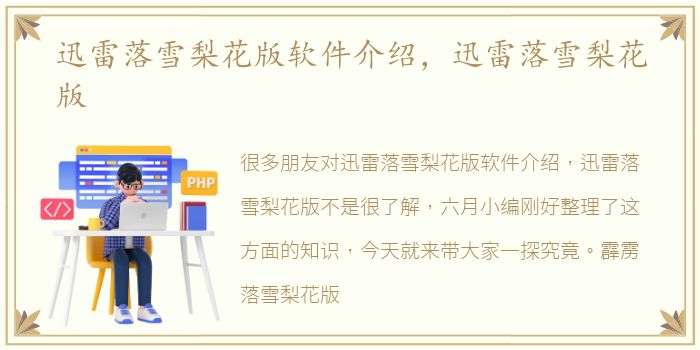 迅雷落雪梨花版软件介绍，迅雷落雪梨花版