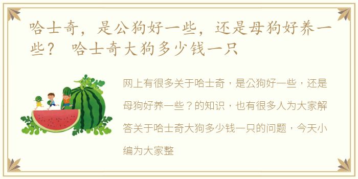 哈士奇，是公狗好一些，还是母狗好养一些？ 哈士奇大狗多少钱一只